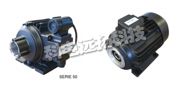 SIMEL馬達(dá),SIMEL電動(dòng)馬達(dá),意大利SIMEL,意大利電動(dòng)馬達(dá),TEF