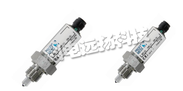 PROFIMESS傳感器,德國(guó)PROFIMESS,德國(guó)傳感器,SM-10